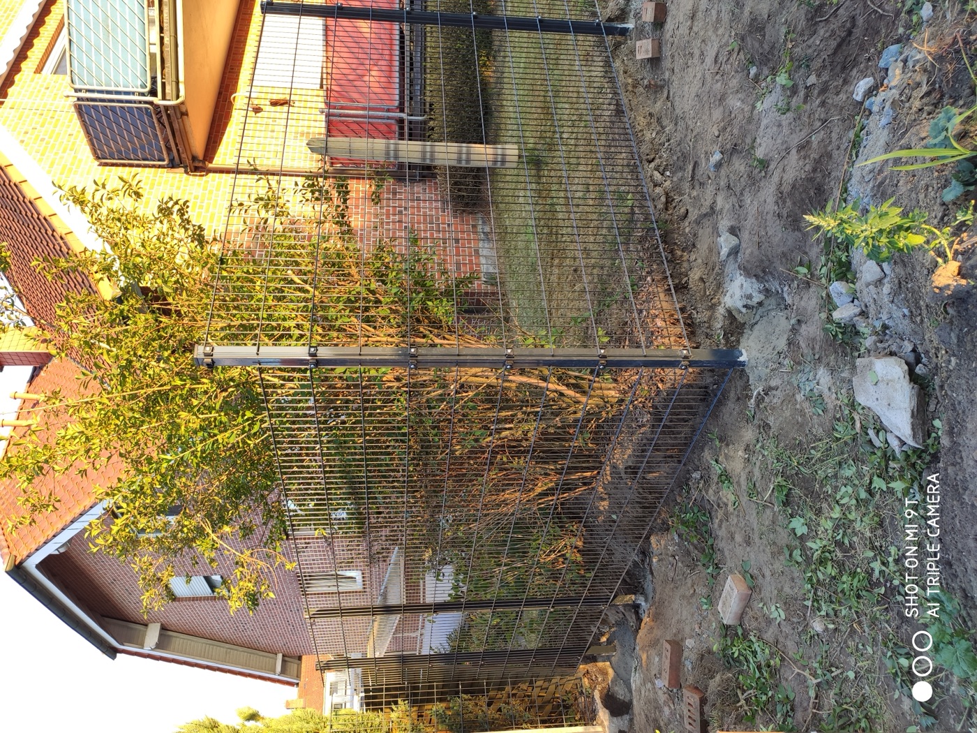 Pflaster- & Terrassenarbeiten — Foto 15