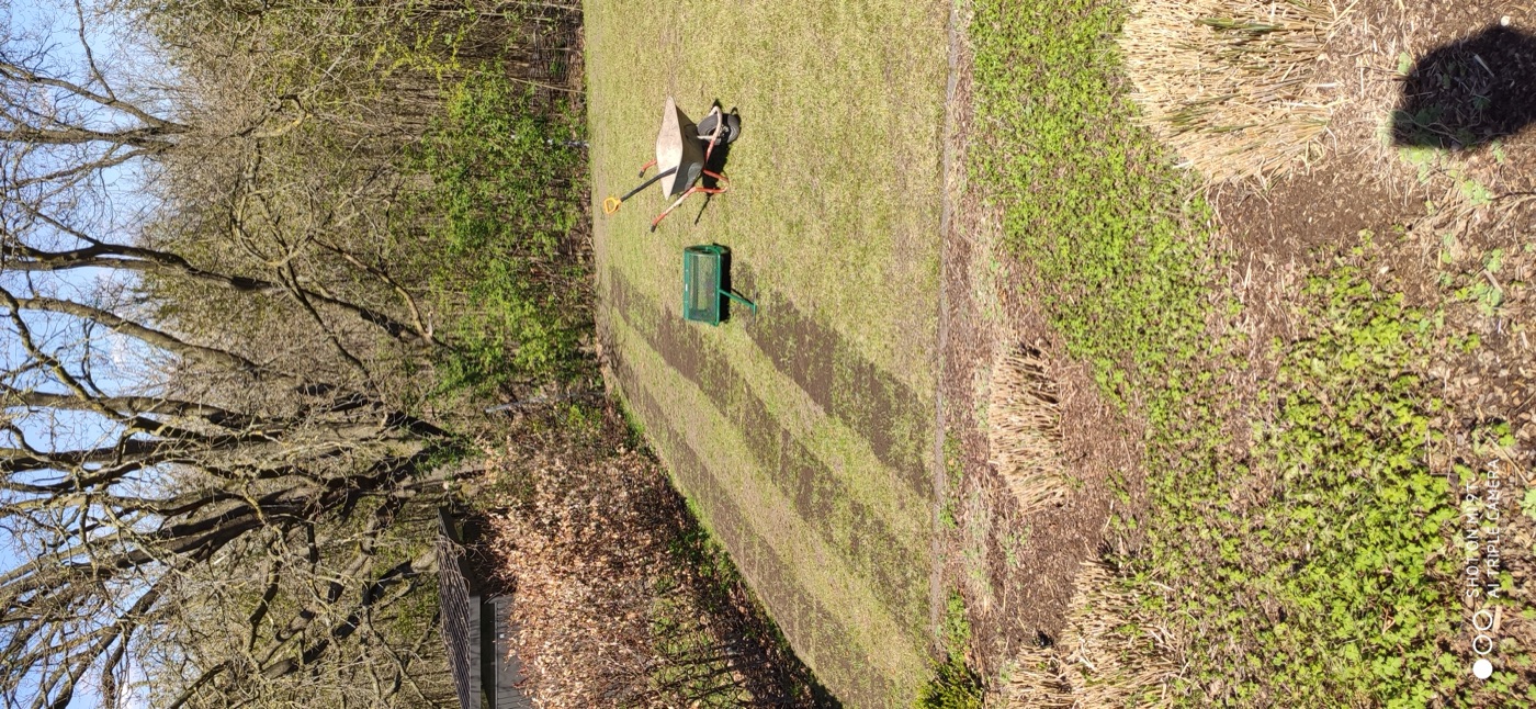 Rollrasen verlegt — Foto 2