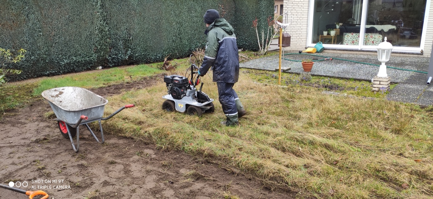 Rollrasen verlegt — Foto 6