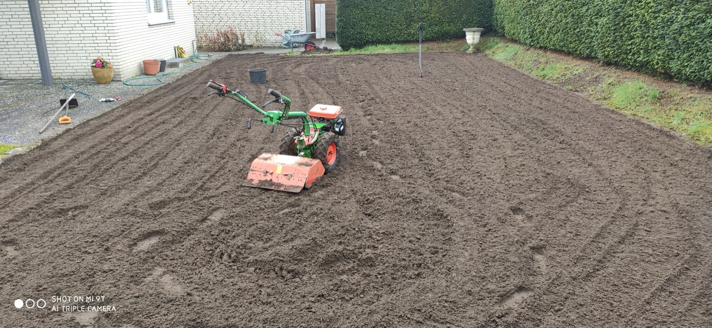 Rollrasen verlegt — Foto 9
