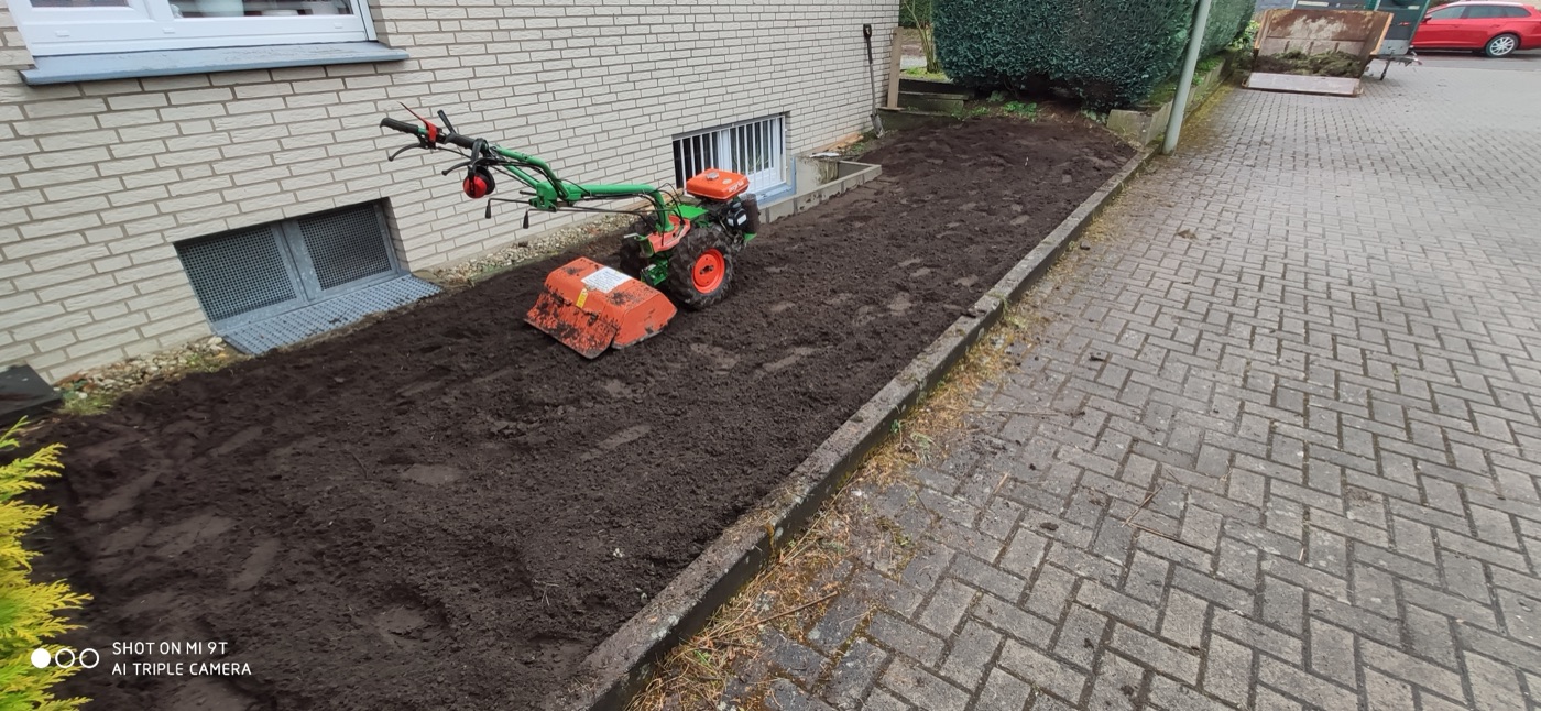 Rollrasen verlegt — Foto 11