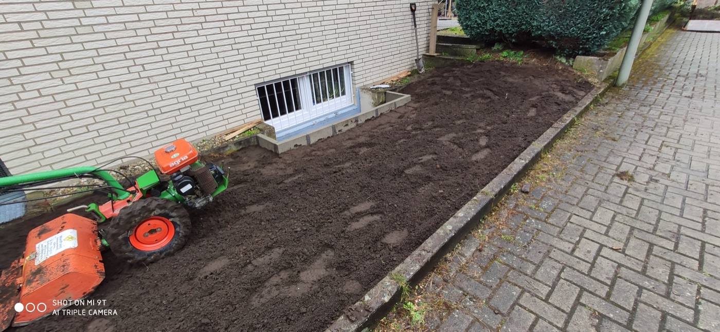 Rollrasen verlegt — Foto 12