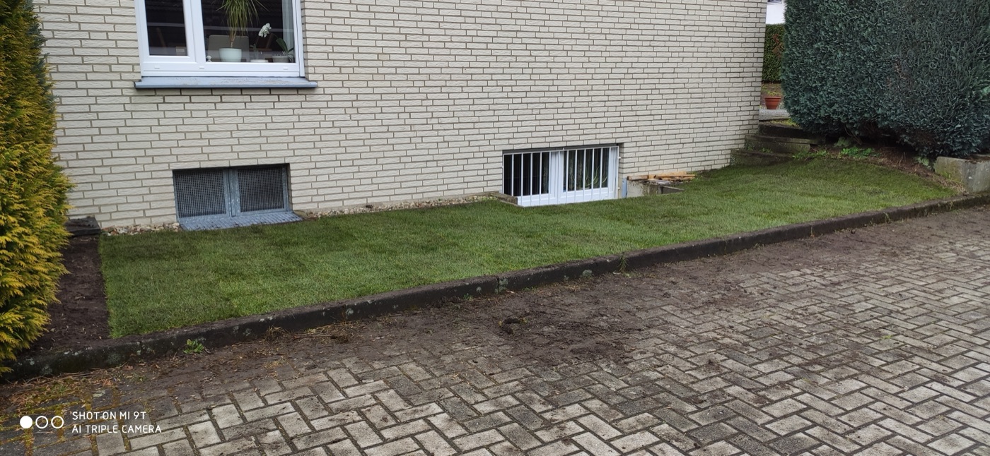 Rollrasen verlegt — Foto 15