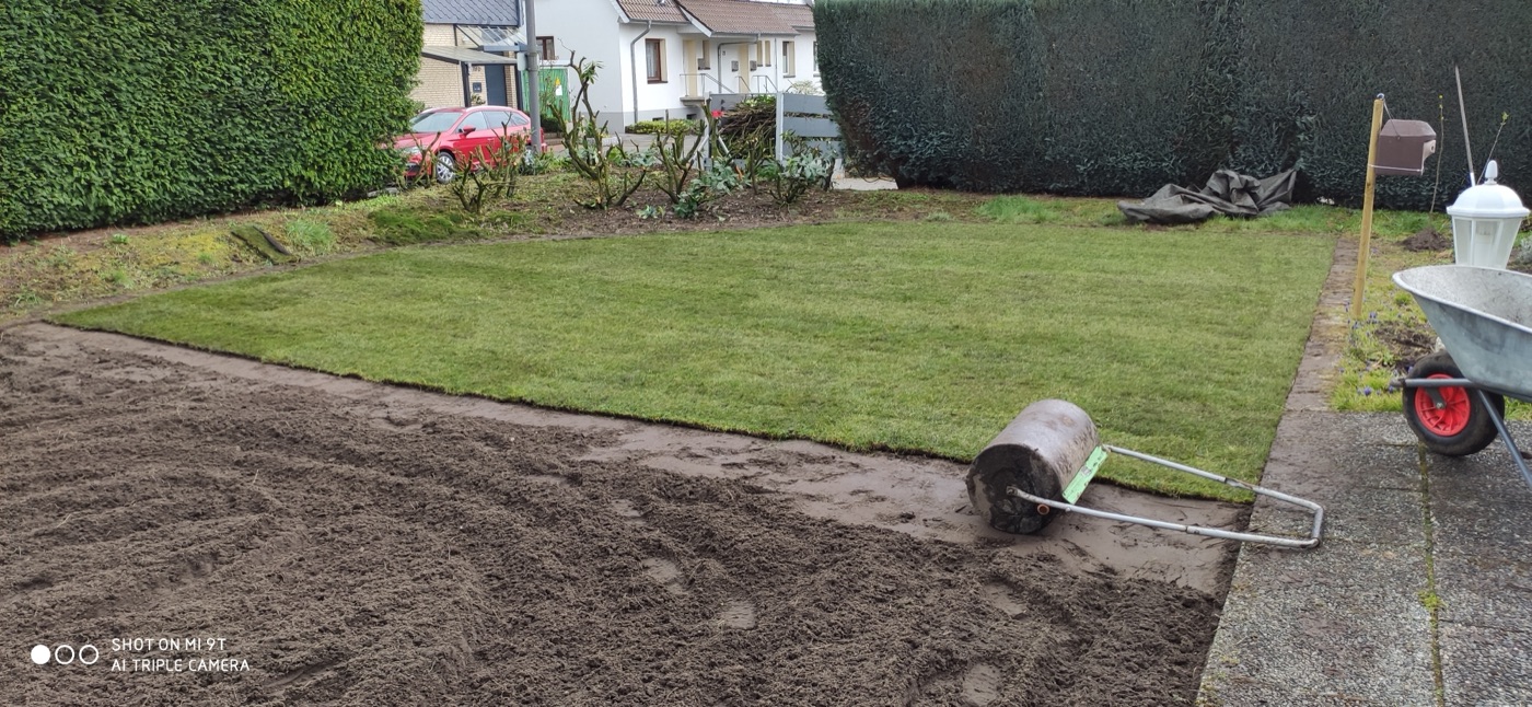 Rollrasen verlegt — Foto 17