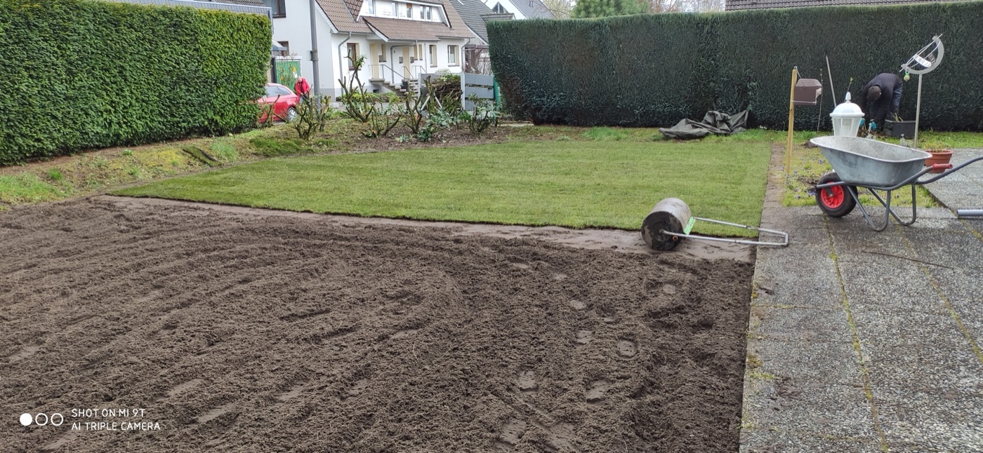 Rollrasen verlegt — Foto 18