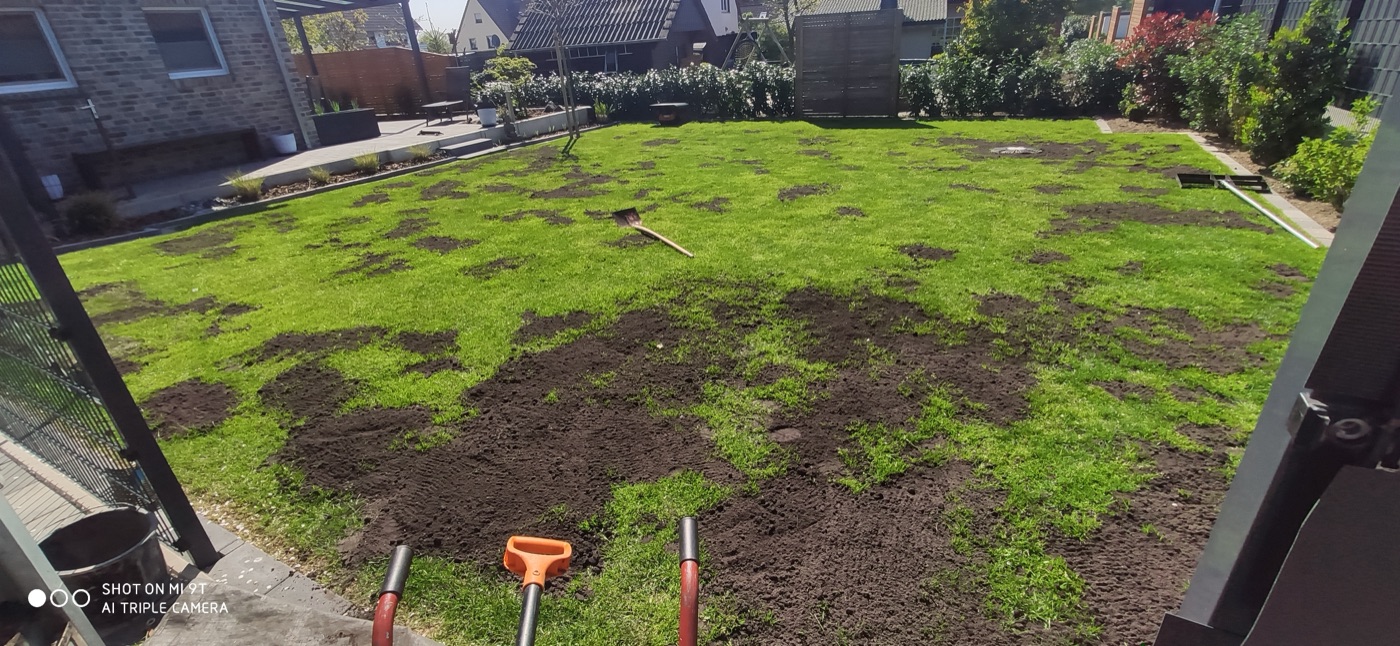Rollrasen verlegt — Foto 19