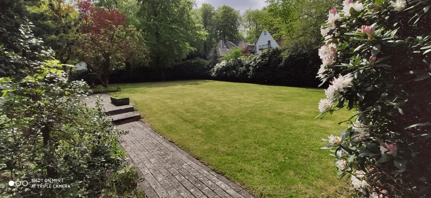 Rollrasen verlegt — Foto 22