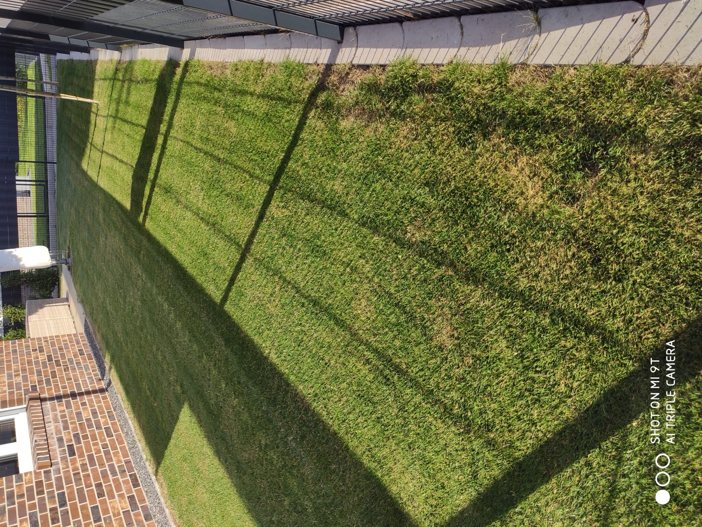Rollrasen verlegt — Foto 24
