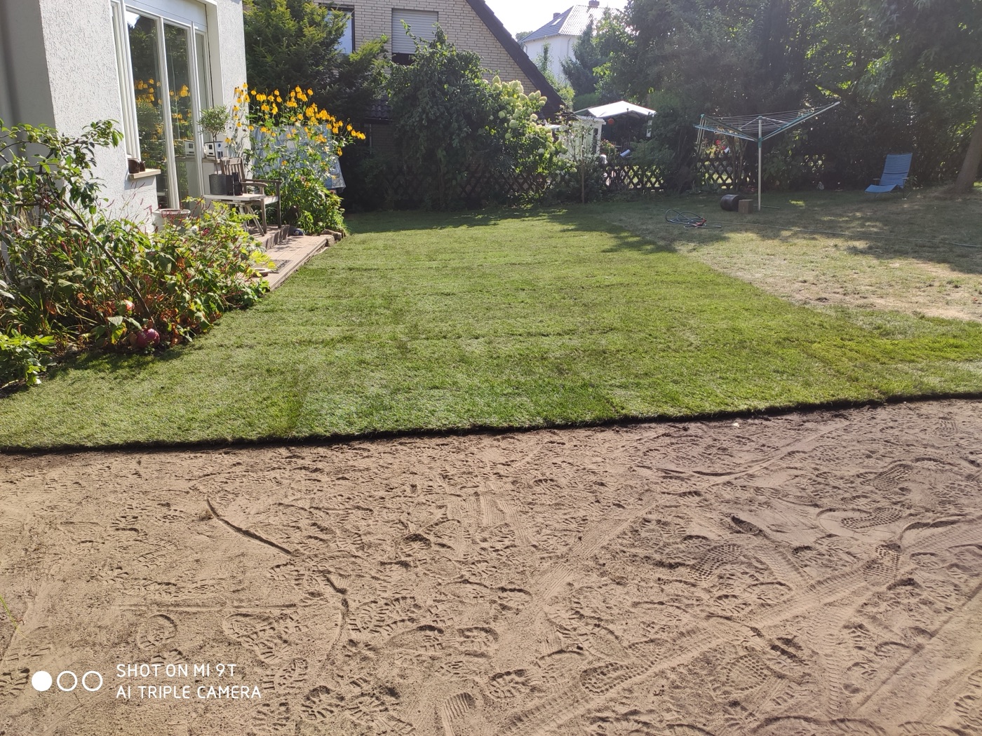 Rollrasen verlegt — Foto 29