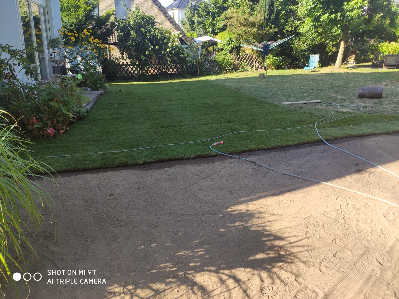Rollrasen verlegt — Foto 30