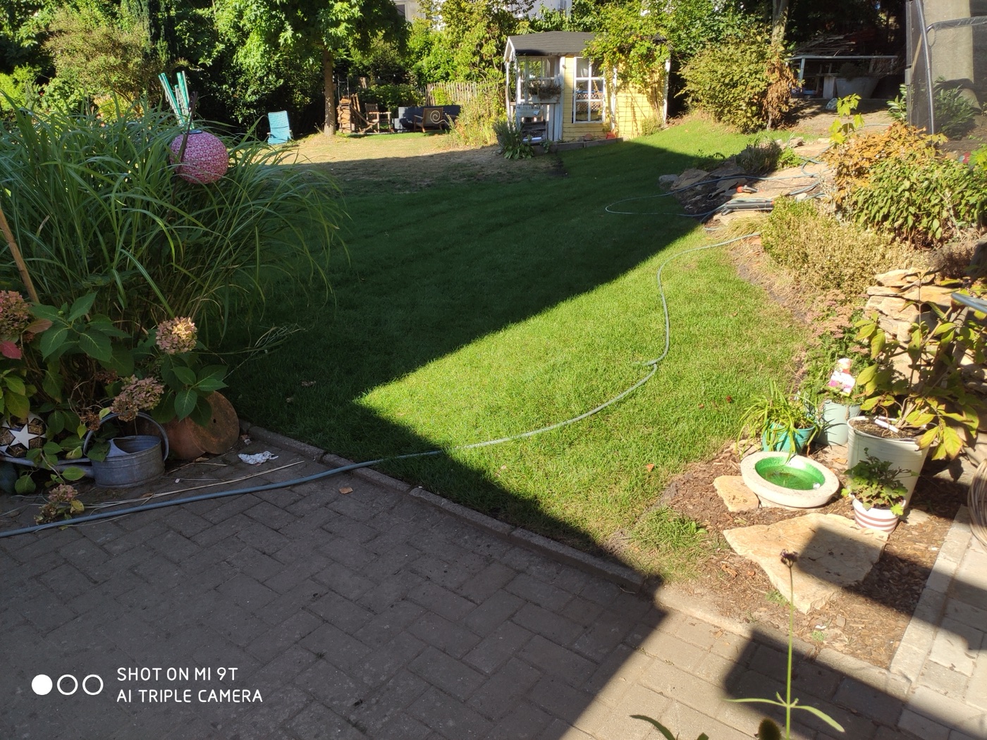 Rollrasen verlegt — Foto 32