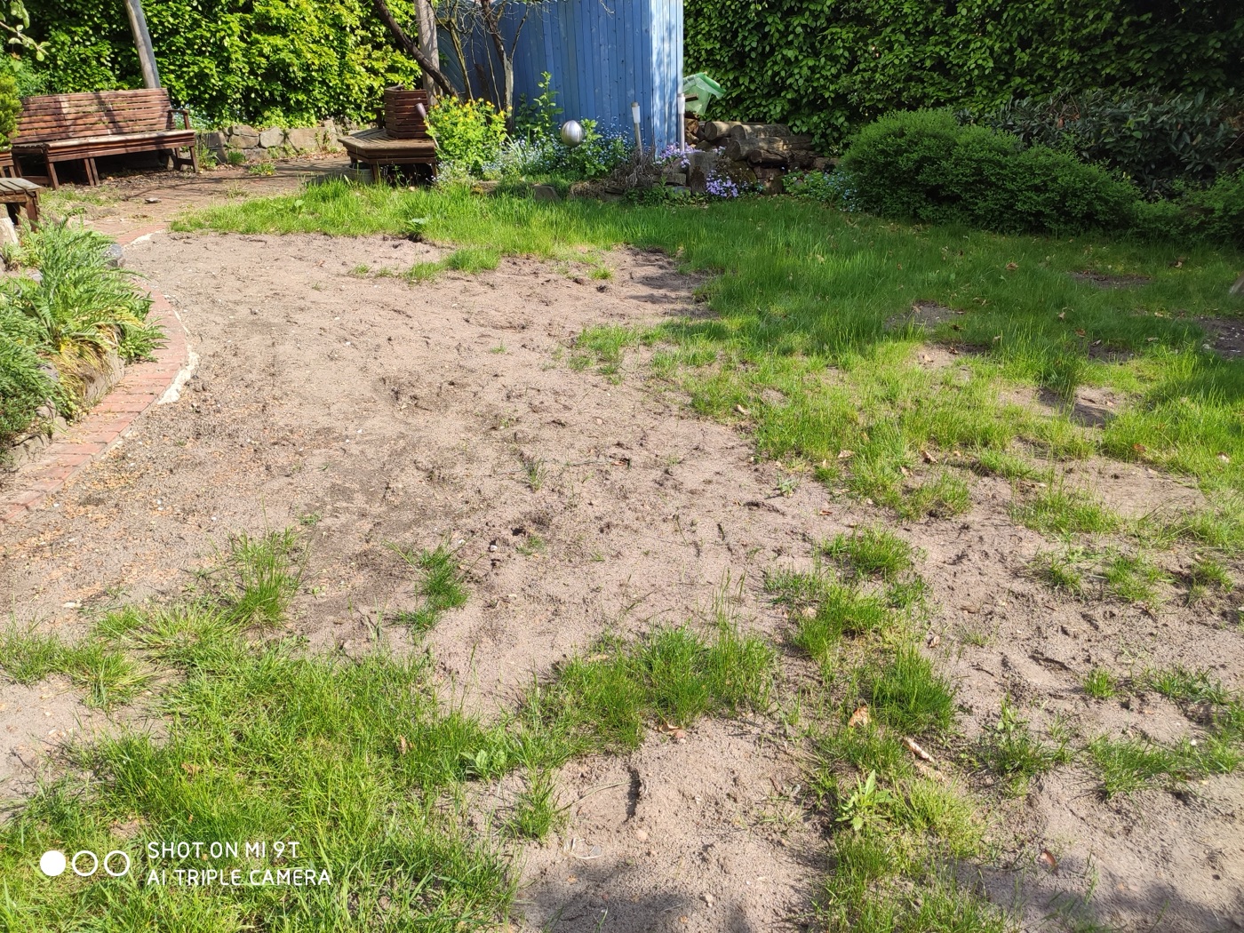 Rollrasen verlegt — Foto 36