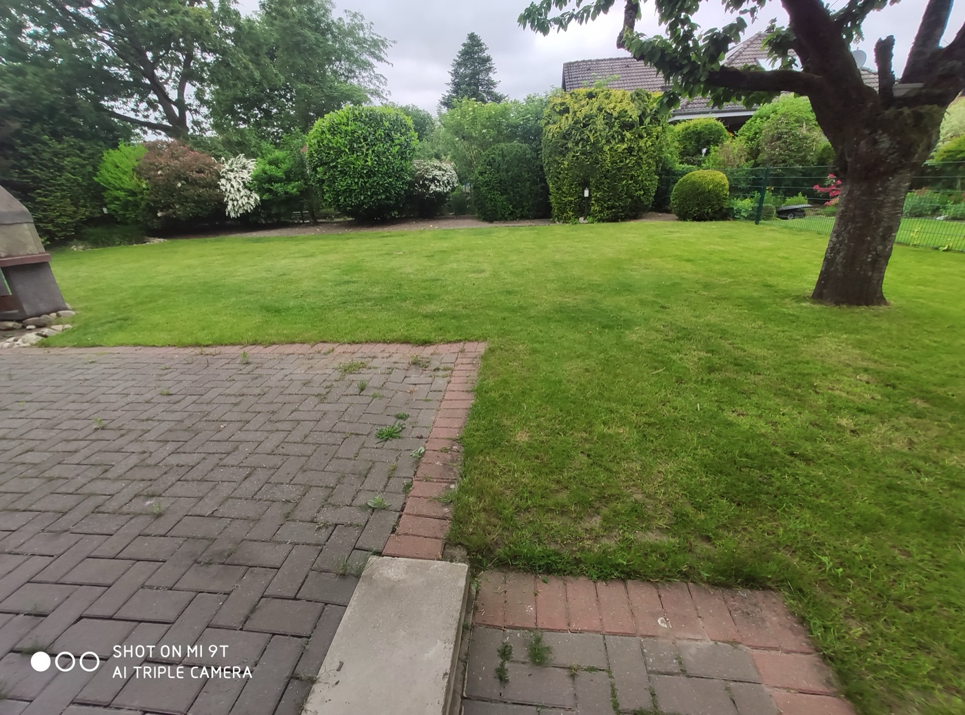 Rollrasen verlegt — Foto 42