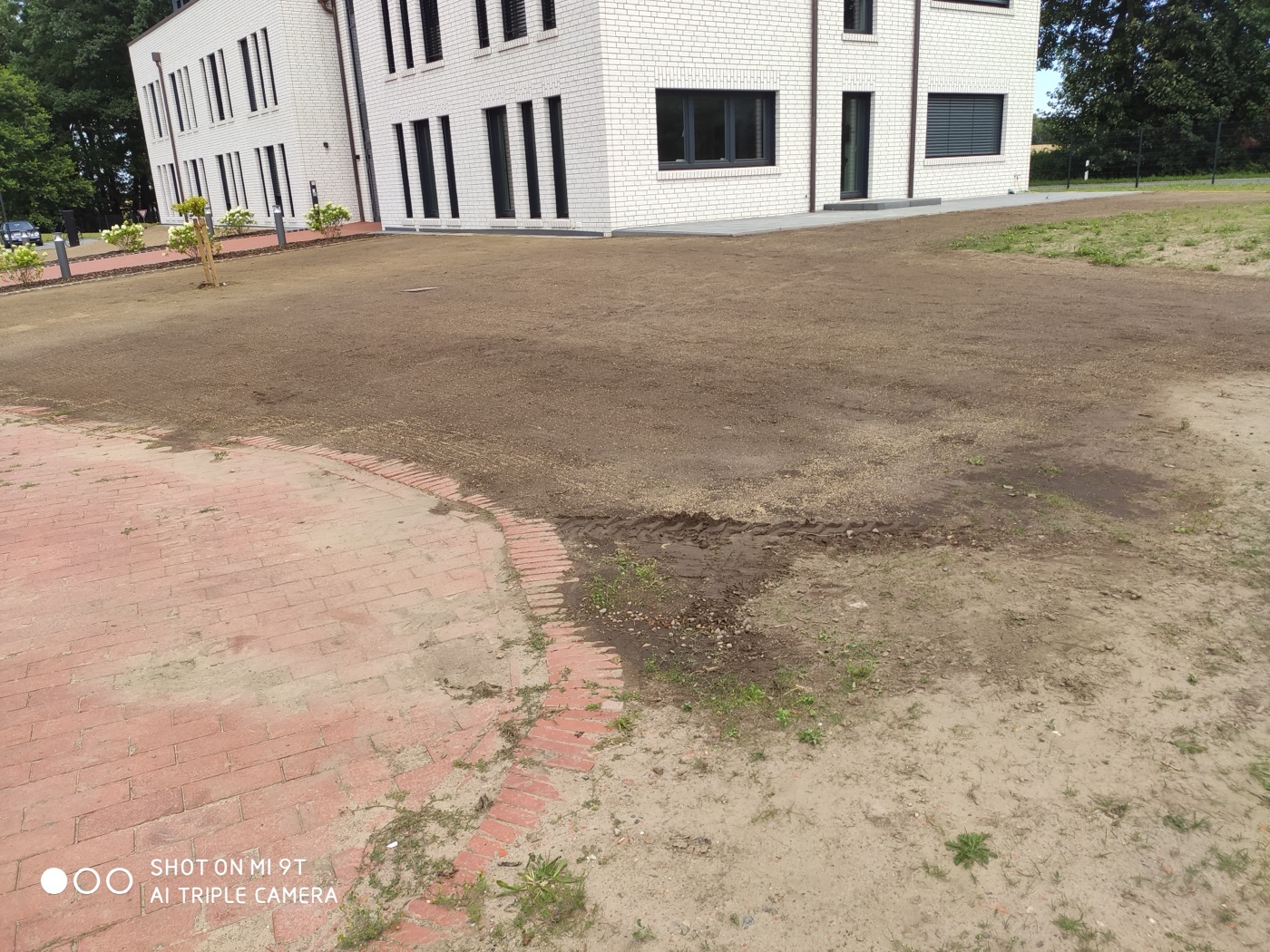 Rollrasen verlegt — Foto 44