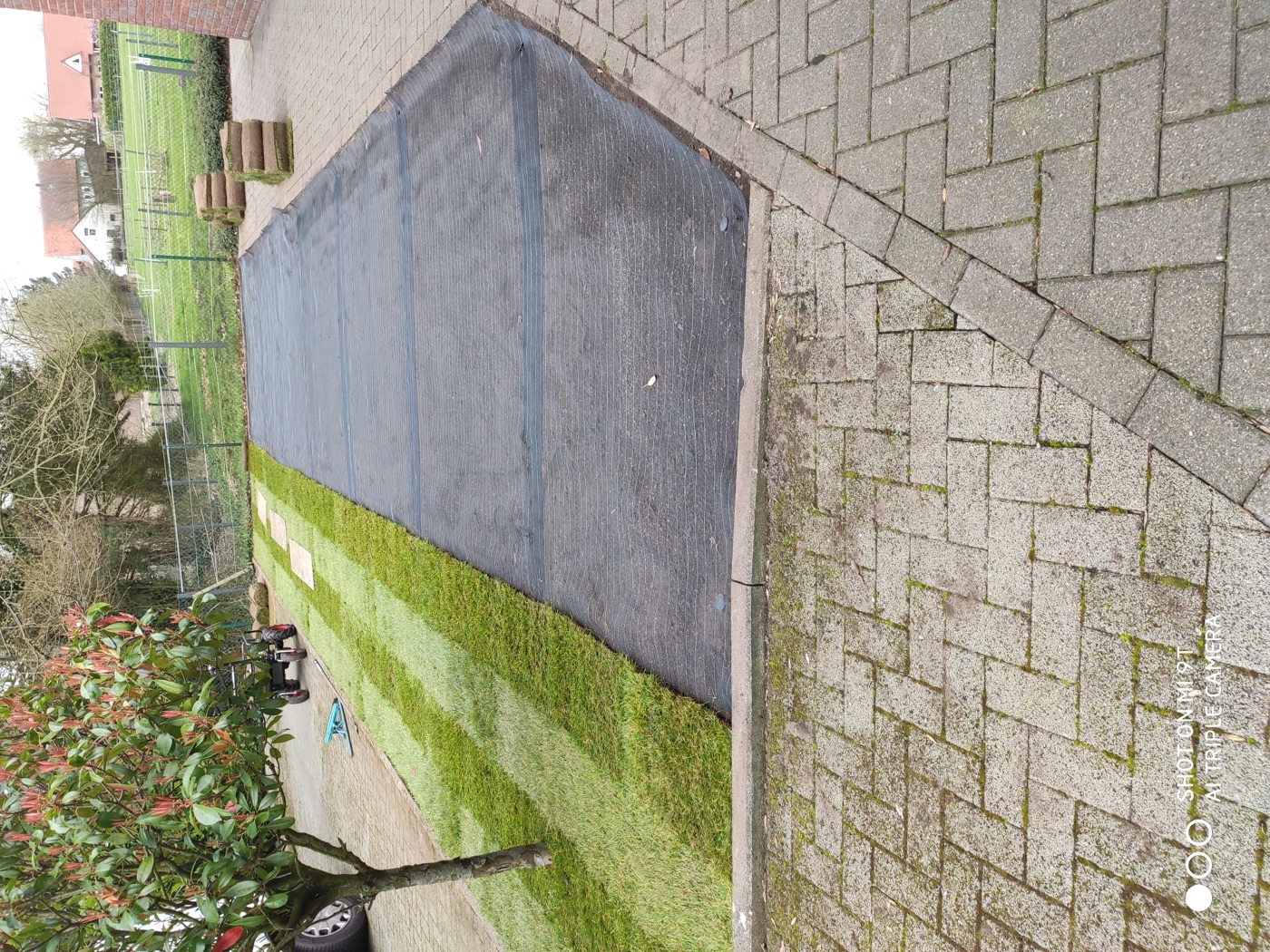 Rollrasen verlegt — Foto 52