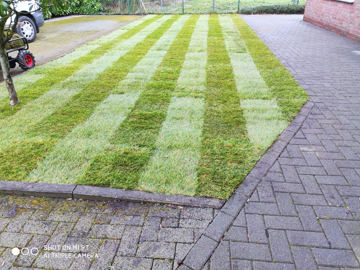 Rollrasen verlegt — Foto 53