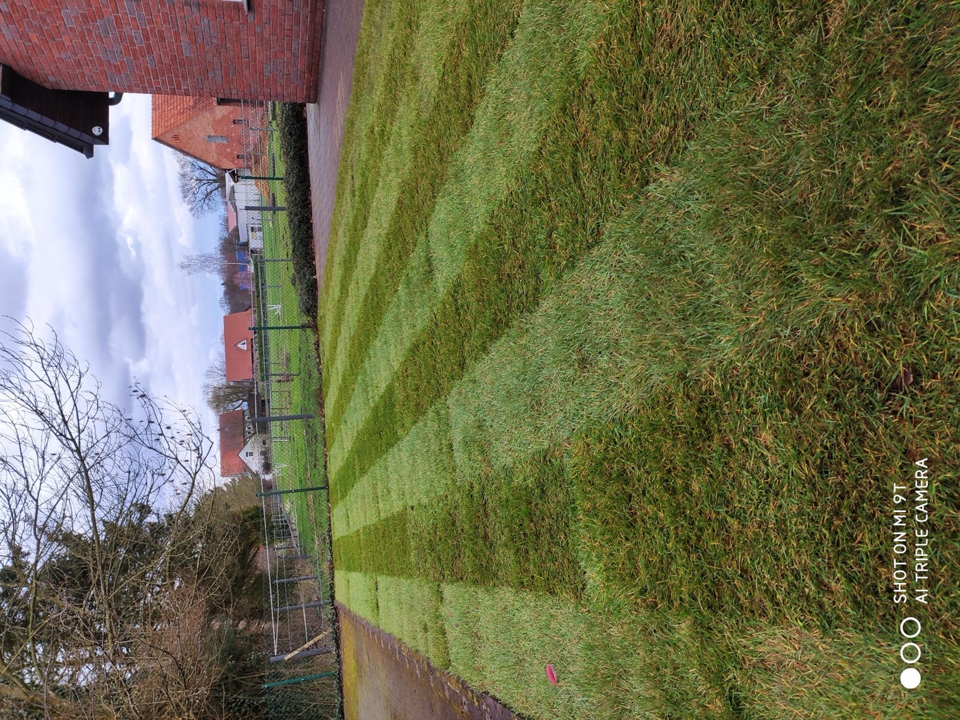 Rollrasen verlegt — Foto 54