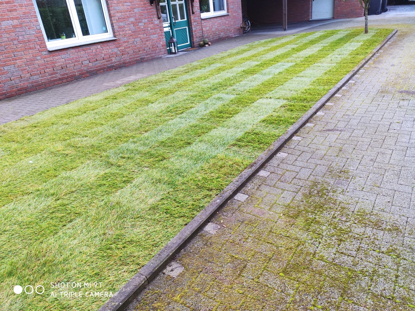 Rollrasen verlegt — Foto 55