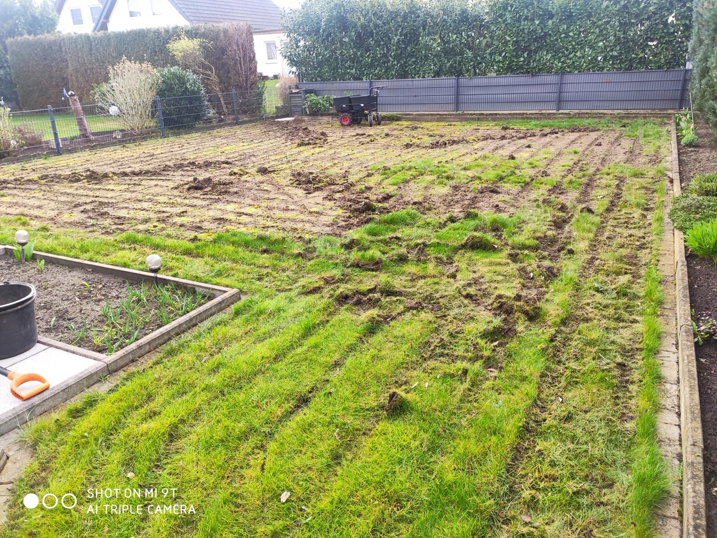 Rollrasen verlegt — Foto 56