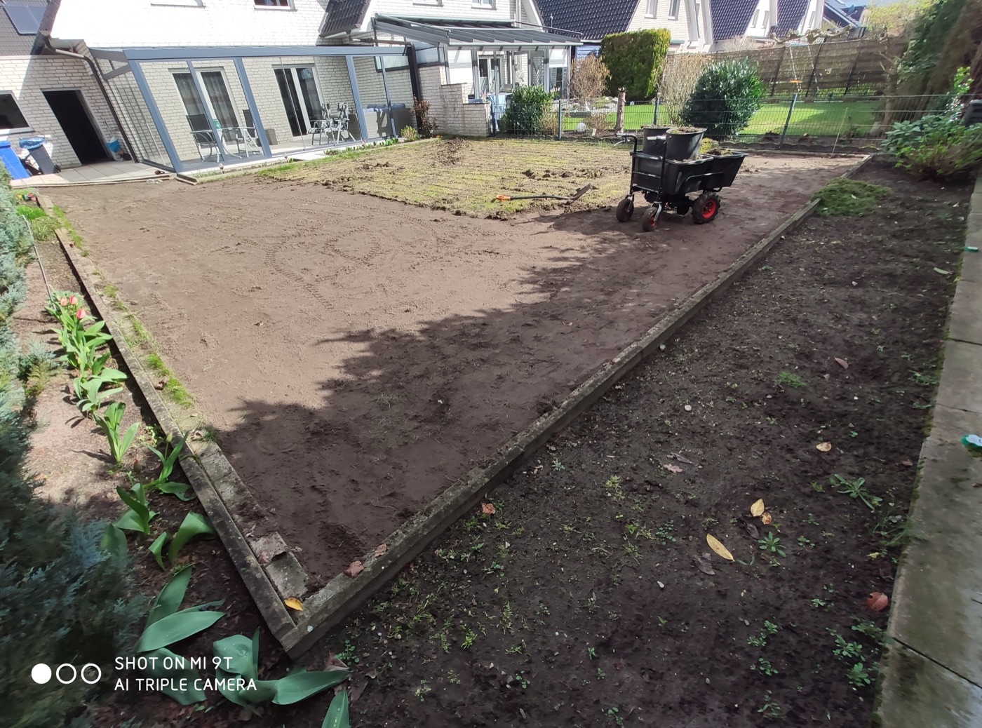 Rollrasen verlegt — Foto 61