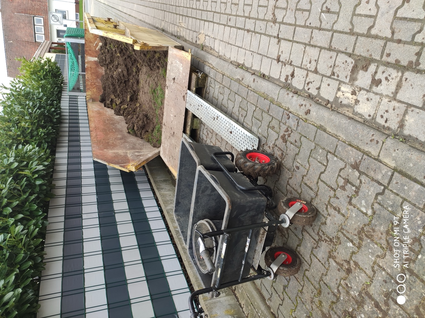 Rollrasen verlegt — Foto 63