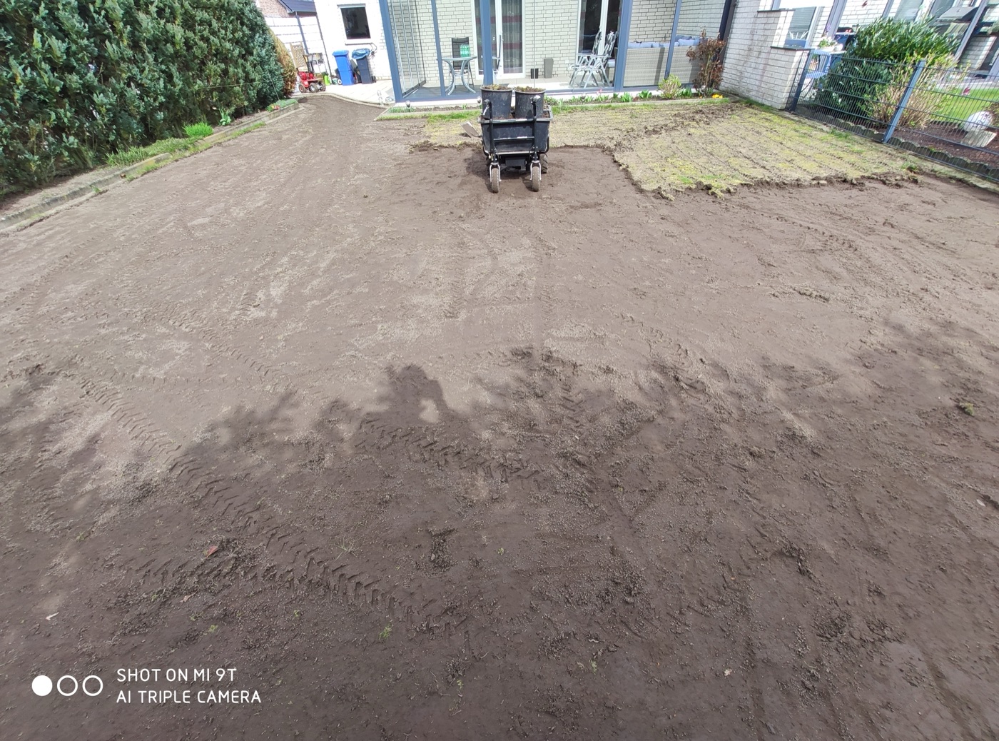 Rollrasen verlegt — Foto 64