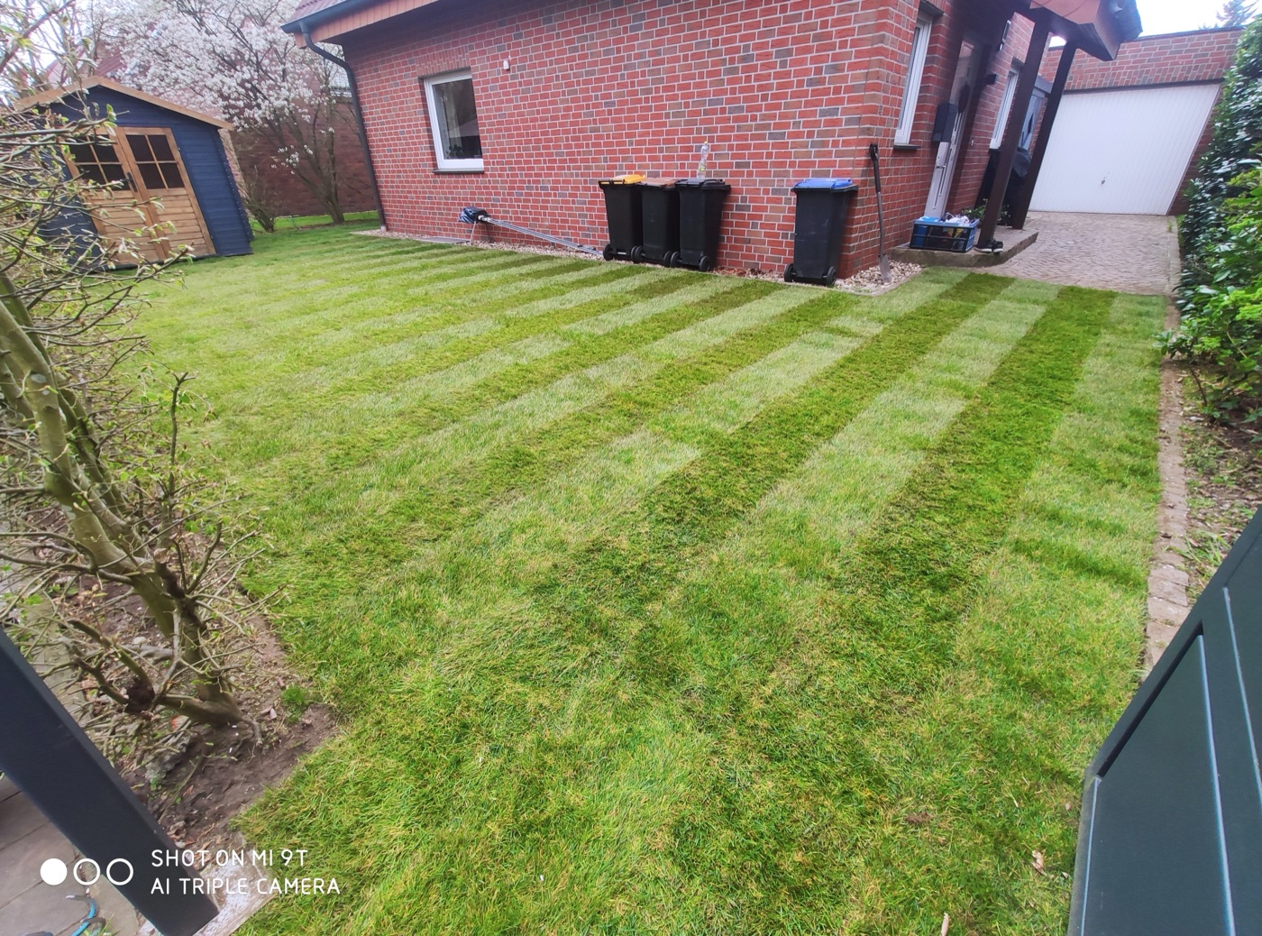 Rollrasen verlegt — Foto 81