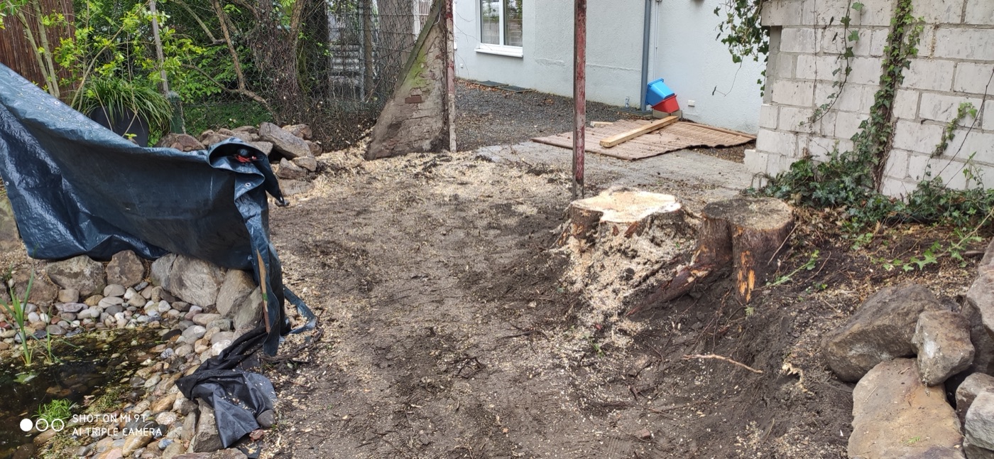Stubben gefräst — Foto 5