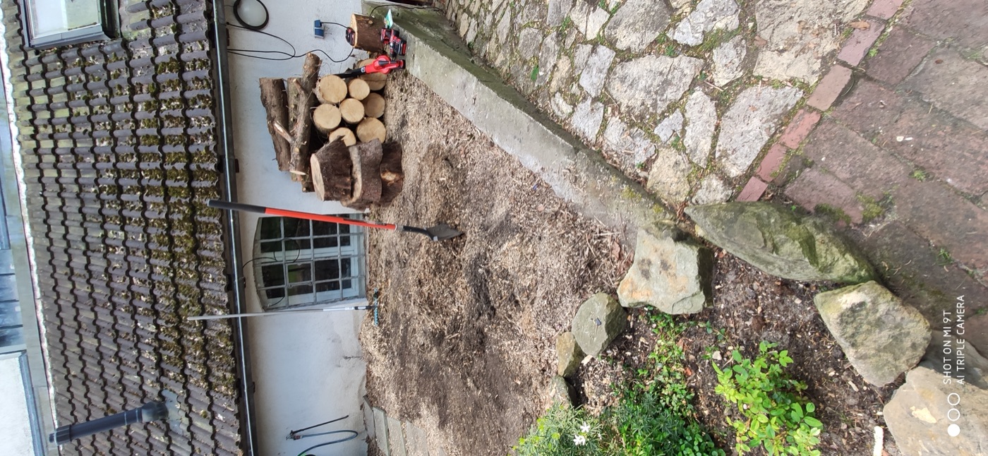 Stubben gefräst — Foto 7