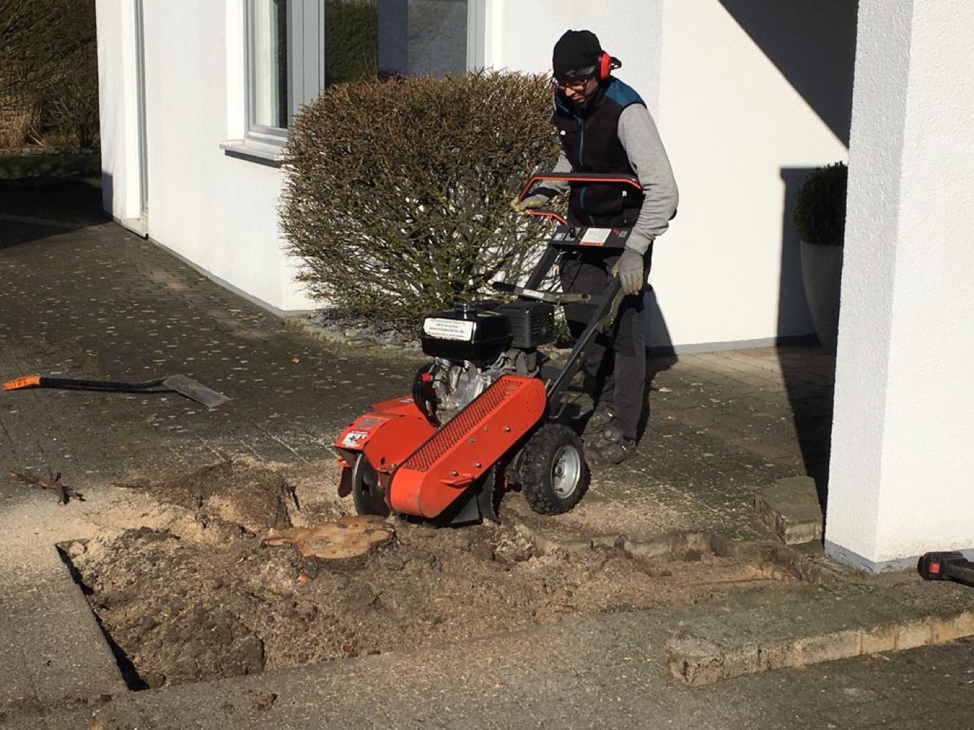 Stubben gefräst — Foto 28